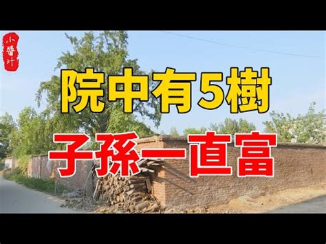 福木風水|【福木樹風水】福木樹風水的秘密：為家居招來好運、。